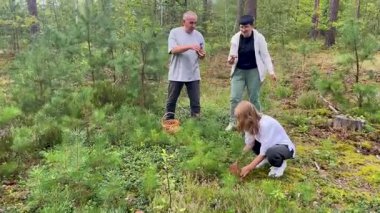 Ailesi köpekleriyle ormanda mantar topluyor.