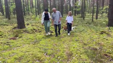 Ailesi köpekleriyle ormanda mantar topluyor.