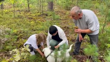 Ailesi köpekleriyle ormanda mantar topluyor.