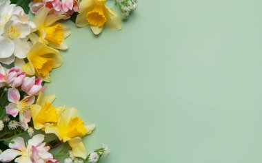 Nergis ve elma çiçekleri pastel yeşil arka planda bahar çiçekleri oluşturur.