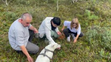 Aileler, köpekleriyle ormanda meyve toplamaktan zevk alırlar.
