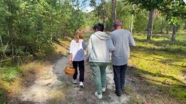 Aileler güneşli bir orman yolunda köpekleriyle keyifli bir yürüyüş yapıyorlar.