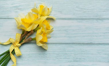 Sarı nergisler kurdele yayıyla turkuaz bir tahta masada yatıyorlar, baharın gelişini kutluyorlar.