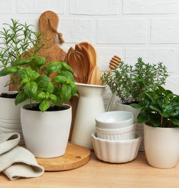 Aromatik otlar mutfak gereçleri ve beyaz çanak çömlek ile birlikte tencerelerde gelişir. Beyaz tuğladan bir duvara karşı sıcak bir mutfak atmosferini somutlaştırır.