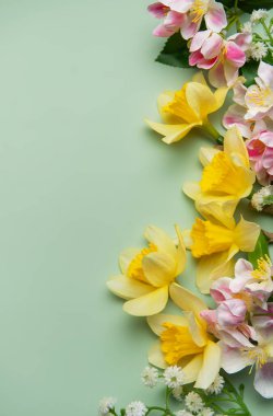 Sarı nergisler ve pembe çiçekler pastel yeşil arka planda düzenlenmiş neşeli bir bahar selamı sunar.