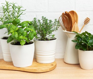 Ahşap bir tezgahın üzerinde beyaz kaplarda yetişen otlar, mutfağa tazelik katıyor.