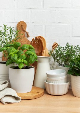 Aromatik otlar mutfak gereçleri ve beyaz çanak çömlek ile birlikte tencerelerde gelişir. Beyaz tuğladan bir duvara karşı sıcak bir mutfak atmosferini somutlaştırır.