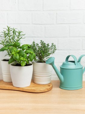 Biberiye, fesleğen ve kekik ile sulandırma sıcacık bir mutfak bitkisi bahçesi oluşturabilir.