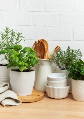 Tencerelerde yetişen otlar şık bir mutfakta rahat bir atmosfer yaratıyor.