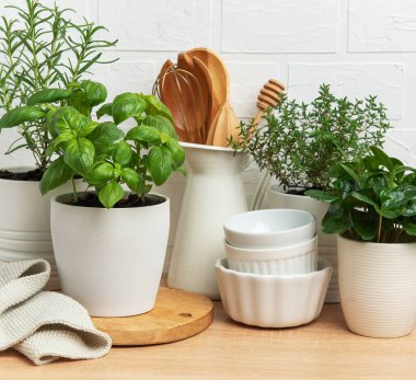 Tencerelerde yetişen otlar şık bir mutfakta rahat bir atmosfer yaratıyor.