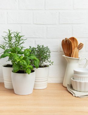 Fesleğen, biberiye ve kekik gibi ahşap mutfak tezgahında beyaz kaplarda yetişen otlar sağlıklı ve sürdürülebilir bir yaşam tarzını teşvik eder.