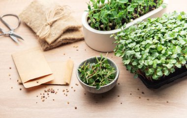 Mikroçim, tohum ve bahçe aletleri ahşap bir masa üzerinde düzenlenir, ev yetiştirme seti sergilenir