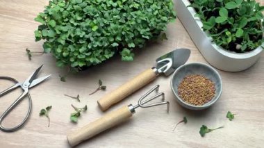 Mikroçim, bahçe aletleri ve tohumlar bir masaya dizilmiş, ekime hazır.