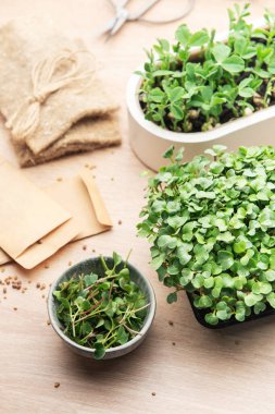 Mikroçim, tohum ve bahçe aletleri ahşap bir masa üzerinde düzenlenir, ev yetiştirme seti sergilenir