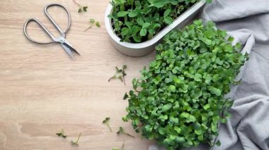 Mikroçim, bahçe aletleri ve tohumlar bir masaya dizilmiş, ekime hazır.