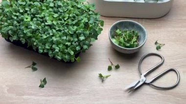 Mikroçim, bahçe aletleri ve tohumlar bir masaya dizilmiş, ekime hazır.