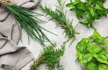 Gri bir masaya dizilmiş taze toplanmış bitkiler. Yemek pişirme ve süsleme için kullanıma hazır.