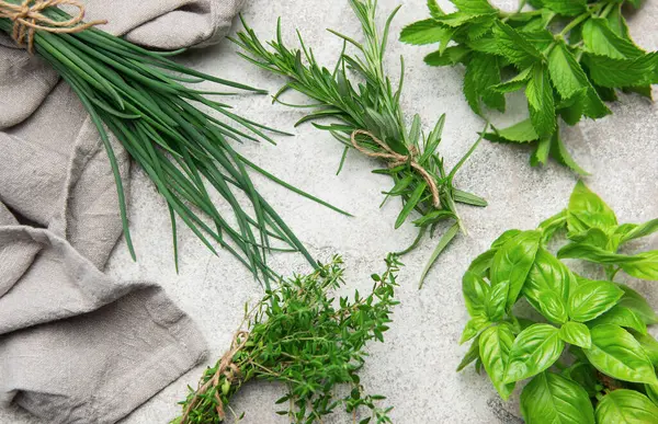 Gri bir masaya dizilmiş taze toplanmış bitkiler. Yemek pişirme ve süsleme için kullanıma hazır.