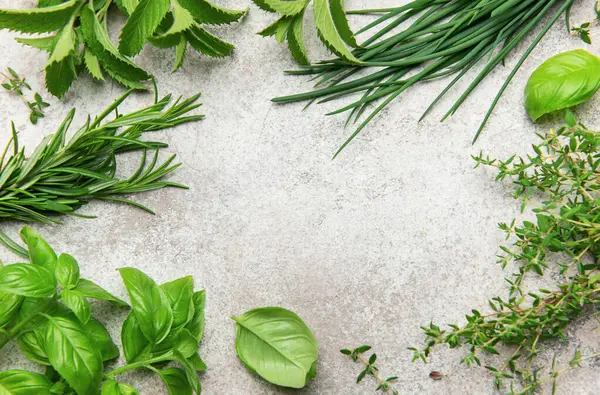 Fesleğen, biberiye, kekik, nane ve soğan karışımları gri dokulu bir arkaplan çerçevesi oluşturarak canlı ve aromatik bir mutfak sahnesi oluşturuyor.