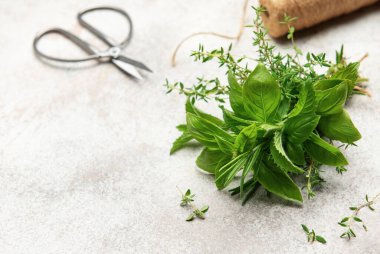 Fesleğen, biberiye, kekik ve nane gibi taze bitkiler mutfak masasında bir araya getirilir, makas ve sicimle birlikte kullanılmaya hazırdır.