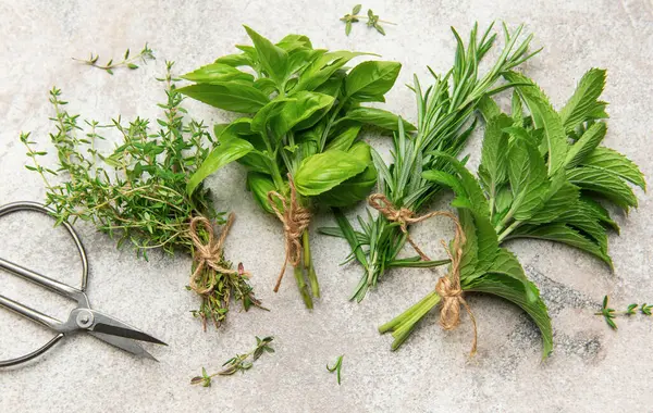 Fesleğen, biberiye, kekik ve nane içeren taze bitkiler sicimle bağlanır ve makasın yanındaki gri mermer bir yüzeye dizilir.