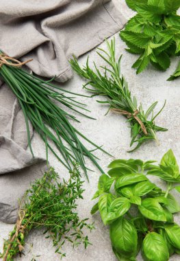 Gri bir masaya dizilmiş taze toplanmış bitkiler. Yemek pişirme ve süsleme için kullanıma hazır.