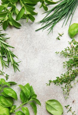 Fesleğen, biberiye, kekik, nane ve soğan karışımları gri dokulu bir arkaplan çerçevesi oluşturarak canlı ve aromatik bir mutfak sahnesi oluşturuyor.