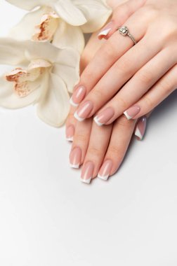 Mükemmel Fransız manikürlü ve beyaz orkide çiçekli kadın eller beyaz arka planda yatıyor.