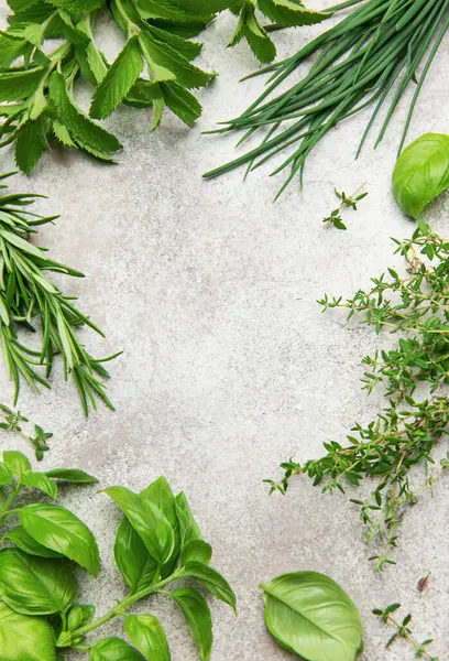 Fesleğen, biberiye, kekik, nane ve soğan karışımları gri dokulu bir arkaplan çerçevesi oluşturarak canlı ve aromatik bir mutfak sahnesi oluşturuyor.