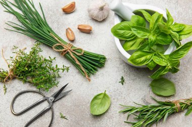 Mutfak masasına dizilmiş taze biçilmiş otlar, baharatlar ve sarımsak soğanları, mutfak yaratımlarına lezzet katmaya ve doğramaya hazır.