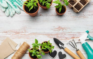 Bahçe aletleri, terasotta tencereleri, fidanlar, eldivenler ve tohum torbaları beyaz ahşap bir arka planda dizilmiş, bir bahar ekimi sahnesi yaratıyor