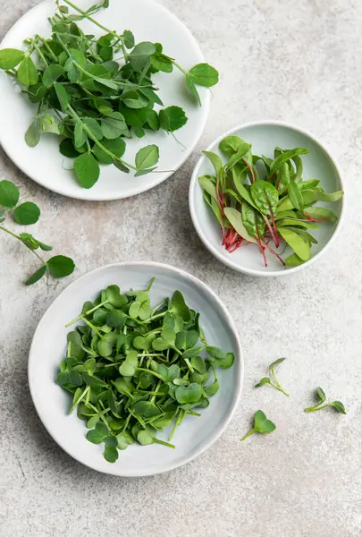 Turp, bezelye ve brokoli mikroçipleri gri arka planda küçük kaselerde yetişiyor.
