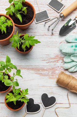 Bahçıvanlık aletleri, fidanlar, eldivenler ve kalp şeklinde etiketler beyaz ahşap bir masaya dizilmiş, bir bahar ekimi sahnesi yaratıyor