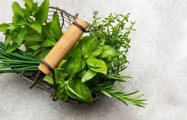 Fesleğen, nane, soğan, kekik ve biberiye içeren taze aromatik otlarla dolu sepet, gri bir arka planda sergileniyor.