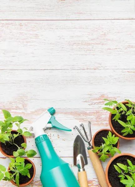 Bahçe aletleri, sprey şişesi ve domates fideleri kırsal beyaz ahşap bir masa üzerinde dizilmiş, bir bahar ekimi sahnesi yaratıyor.