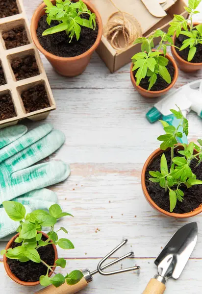 Bahçe aletleri, fideleri ve turba kapları ile terracotta tencereleri ahşap bir yüzey üzerinde fotokopi alanı ile bir çerçeve oluşturur.