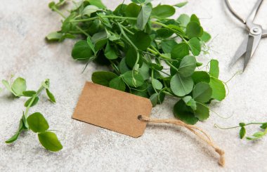 Boş etiket ve makaslı taze mikroyeşiller, çiftçi pazarında satılmaya hazır.