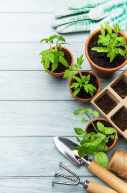 Bahçıvanlık aletleri, fidanlı terracotta kapları ve kırsal ahşap bir masaya yerleştirilmiş eldivenler sürdürülebilir yaşam kavramını somutlaştırıyor.