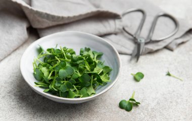 Bir kasede taze turp mikroçipleri, sağlıklı beslenme ve kentsel çiftçiliği teşvik ediyor.