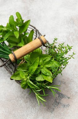 Fesleğen, nane, soğan, kekik ve biberiye içeren taze aromatik otlarla dolu sepet, gri bir arka planda sergileniyor.