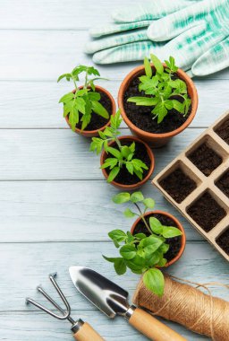 Bahçıvanlık aletleri, fidanlı terracotta kapları ve kırsal ahşap bir masaya yerleştirilmiş eldivenler sürdürülebilir yaşam kavramını somutlaştırıyor.