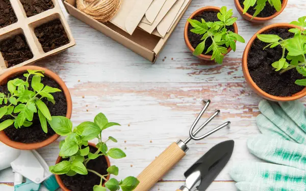 Bahçe aletleri, fideleri ve turba kapları ile terracotta tencereleri ahşap bir yüzey üzerinde fotokopi alanı ile bir çerçeve oluşturur.