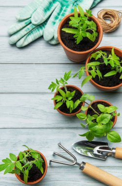 Bahçe aletleri ve fide bitkileri kırsal bir ahşap masaya yerleştirilerek bahar hazırlığı ve büyüme sahnesi oluşturulur.