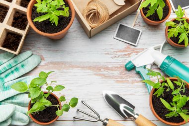 Bahçe aletleri, fideleri ve turba kapları ile terracotta tencereleri ahşap bir yüzey üzerinde fotokopi alanı ile bir çerçeve oluşturur.