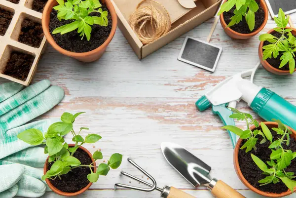 Bahçe aletleri, fideleri ve turba kapları ile terracotta tencereleri ahşap bir yüzey üzerinde fotokopi alanı ile bir çerçeve oluşturur.