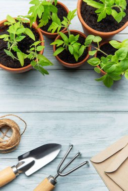 Terracotta saksılarında yetişen tohumlar, bahçe aletleri ve tohum torbaları ahşap bir masa üzerine dizilmiş, kentsel bahçıvanlığa hazır.