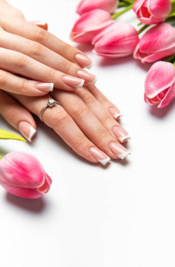 Mükemmel Fransız manikürlü ve beyaz arka planda pembe laleli kadın elleri.