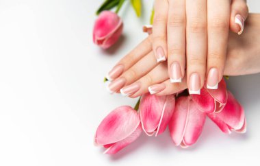 Mükemmel Fransız manikürlü ve beyaz arka planda pembe laleli kadın elleri.