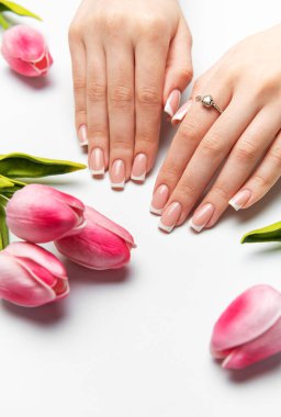 Mükemmel Fransız manikürlü, beyaz arka planda pembe lalelerle süslenmiş bir kadın eli.