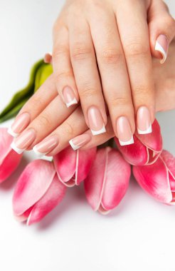 Mükemmel Fransız manikürlü ve beyaz arka planda pembe laleli kadın elleri.